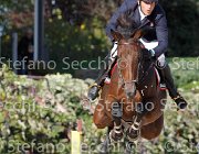 Apolloni Dama di Cuori GioCav2013 S6 7580 : Apolloni Gianluca, Campionati Italiani Giovani Cavalli, Cattolica, Dama di Cuori, ph Stefano Secchi ©